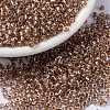 MIYUKI Round Rocailles Beads X-SEED-G008-RR3521-1