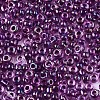 8/0 Glass Seed Beads SEED-A016-3mm-213-2