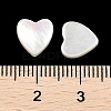 Natural White Shell Beads SSHEL-I026-09-3