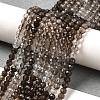 Natural Smoky Quartz Beads Strands G-Q002-B02-01-5