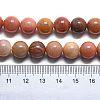 Natural Petrified Wood Round Beads Strands G-D356-C01-12mm-4