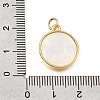 Brass & Natural Shell Pendants SH-CBA7C77-04G-3