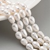 Natural Cultured Freshwater Pearl Beads Strands PEAR-P062-08H-1