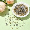 340Pcs 10 Styles Sew on Rhinestone KK-YW0002-36-4