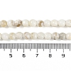 Natural Cultured Freshwater Shell Beads Strands BSHE-H109-03C-5