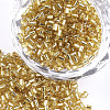 FGB Grade A Glass Seed Beads SEED-S022-04A-02-1