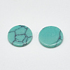 Synthetic Turquoise Cabochons TURQ-S290-01C-20mm-2