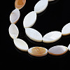 Natural Freshwater Shell Beads Strands SHEL-Q024B-017-4