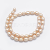 Natural Cultured Freshwater Pearl Beads Strands PEAR-F007-85A-01A-X-2
