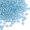 Silver Lined 15/0 Glass Seed Beads SEED-Q025-1.5mm-C05-2