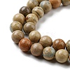 Natural Aqua Terra Jasper Strands G-S150-50-10mm-3