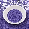 MIYUKI Delica Beads X-SEED-J020-DB2359-2