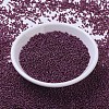 MIYUKI Round Rocailles Beads SEED-G007-RR0313-2