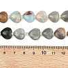 Gradient Color Synthetic Shoushan Stone & Natural Labradorite & Picture Jasper & Peace Jade & Chinese Southern Jade Beads Strands G-B185-A09-6