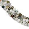 Natural Moss Agate Beads Strands G-RM2025-A33-2mm-4