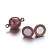 Brass Magnetic Clasps with Loops PALLOY-MC043-3R-2