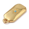 Brass Micro Pave Cubic Zirconia Charms ZIRC-I054-12G-06-2