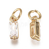 Brass Micro Pave Cubic Zirconia Charms ZIRC-F111-03G-06-2