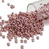 TOHO 6/0 Round Beads X-SEED-TR06-PF0552-1
