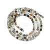 Natural Moss Agate Beads Strands G-RM2025-A33-2mm-3
