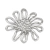 Alloy Pendants AL-E003-05P-2