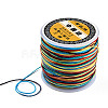 Segment Dyed Nylon Braided Cord NWIR-N016-01B-3