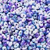 Baking Paint Glass Seed Beads SEED-C003-01D-3