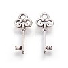 Tibetan Style Alloy Pendants LS-TIBEP-16626-AS-NR-1