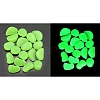 Plastic Imitation Luminous Stone Display Decoration PW-WG21176-06-1