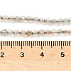 Natural Agate Beads Strands G-H302-A04-01-2