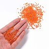 12/0 Glass Seed Beads X1-SEED-A007-2mm-169B-4