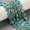 Natural Amazonite Beads Strands G-P534-A07-01-2