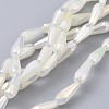 Electroplated Opaque Glass Beads Strands EGLA-L015-FR-B11-1