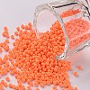 11/0 FGB Grade A Round Glass Seed Beads SEED-N001-A-1067-1