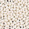 Baking Paint Glass Seed Beads SEED-T007-15A-2