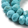 Dyed Natural Howlite Beads Strands G-G023-A01-01A-4