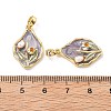 Brass Enamel Pendants KK-B129-25G-02-3