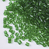 6/0 Two Cut Glass Seed Beads SEED-S033-11B-04-2