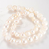 Natural Cultured Freshwater Pearl Beads Strands X-A02SB015-2