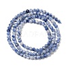 Natural Blue Spot Jasper Beads Strands G-A252-A02-02-3