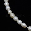 Natural Cultured Freshwater Pearl Beads Strands PEAR-L001-D-03-2