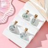 4Pcs Glass Wishing Bottle Decorations PALLOY-JF03100-5