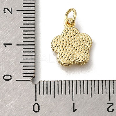 Brass Shell Pendants KK-R002-12G-1