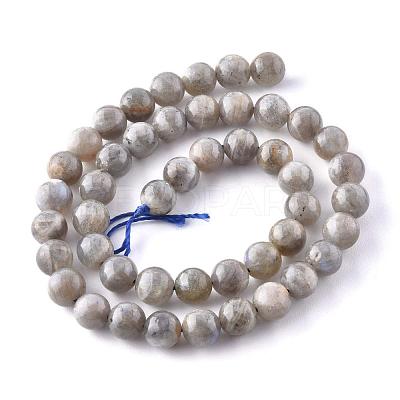 Natural Labradorite Beads Strands X-G-G212-8mm-23-1