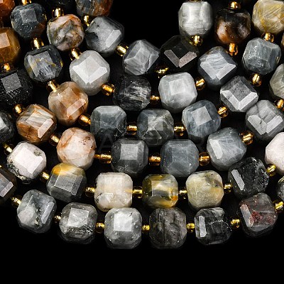 Natural Eagle Eye Stone Beads Strands G-K389-A02-01-1