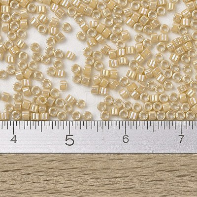 MIYUKI Delica Beads X-SEED-J020-DB1571-1