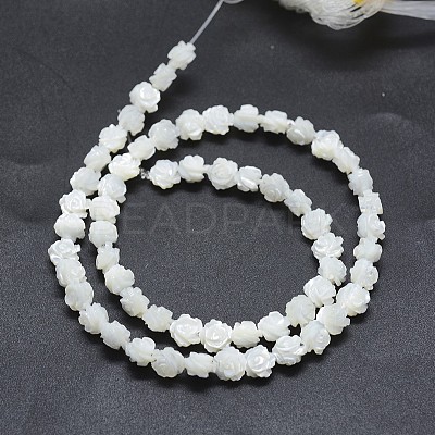 Natural White Shell Beads Strands SSHEL-P015-01A-10mm-1
