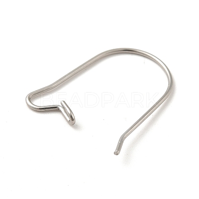 Tarnish Resistant 316 Surgical Stainless Steel Hoop Earrings Findings Kidney Ear Wires X-STAS-E009-6-1