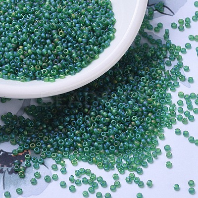 MIYUKI Round Rocailles Beads SEED-G007-RR0146FR-1