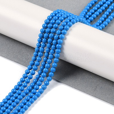 Synthetic Turquoise Beads Strands G-U004-02D-1